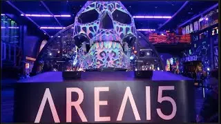 Area 15 with the Prince, Cryer, & Harris Family