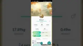 Bidoof Evolution in Pok&eacute;mon GO: Watch Bidoof Transform into Bibarel! #pokemon #pokemongo #evolution
