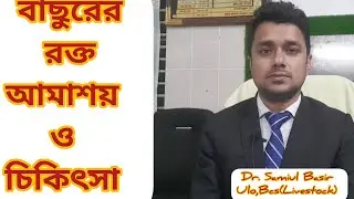 বাছুরের রক্ত আমাশয়। বাছুরের রক্ত আমাশার চিকিৎসা। বাছুরের আমাশয়ের চিকিৎসা।গরুর রক্ত আমাশয়ের চিকিৎসা।