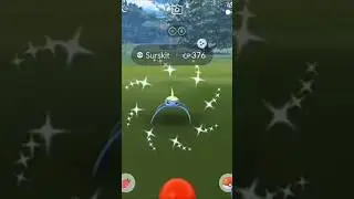 ✨Shiny Surskit 🦀crab pok&eacute;mon #shiny #pokemon #shinypokemon #pokepro #pokemongo