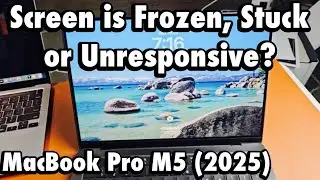 MacBook Pro M5: экран завис, не отвечает или зависает в приложении и не перезапускается? Исправлено!