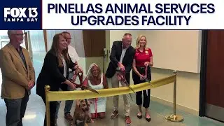 Pinellas County Animal Services opens upgraded kennel facility