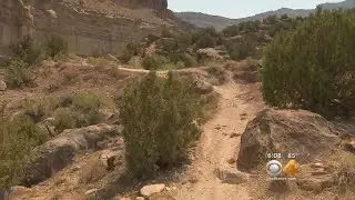 Backcountry Bike Trail Gets Overwhelming Support In Palisade