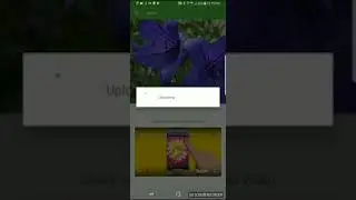 Identifying balloon flower with PlantSnap