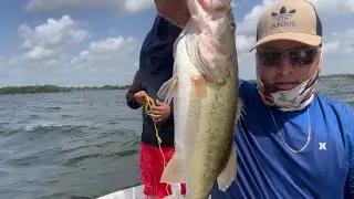 Buscando tilapias en Lake fayette Texas