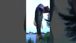 cooperfish