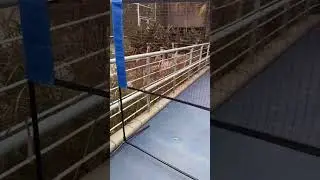Portable Badminton Net - 20 feet