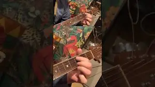 Guitar Sensei Exercise 186: Listening Room - DADGAD Tuning - Tardigrade Blues #playguitar