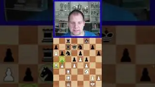 Aljechin Kanone/Alekhine gun - Schach-Begriffe Nr. 1