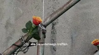 Love Parade 2010: Was ich als Augenzeuge in Duisburg erlebte – Eine persönliche Tragödie