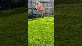 Add rain and sunshine, and what happens? #backyard yard #yardcleanup #lawncare