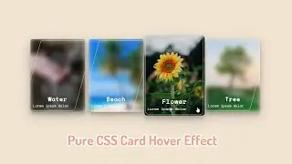 Pure CSS card Hover Effect Using HTML and CSS - CSS Image Card Effects