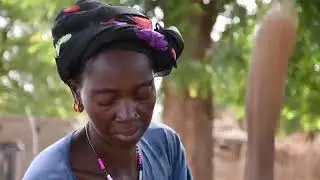 Enrobage biologique des semences FRENCH