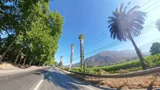 Peumo hacia Las Cabras