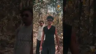 #nepali movie seen#money #forex  nepali action seen viral shorts  from dadagiri movie
