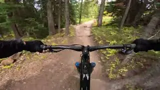 1+ hour of chill music  with downhill mtb