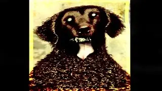 The Graying Dog - Urban Legend