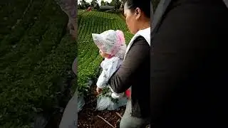 La Presa Farm may 29 2022