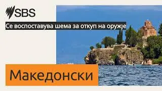 Се воспоставува шема за откуп на оружје | SBS Macedonian - СБС Македонски