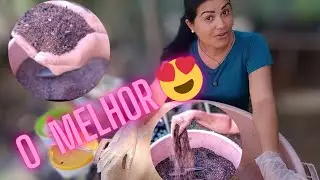 Substrato para Rosa do deserto e suculentas, top demais 😉