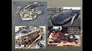 21 - Human impacts on Oceans