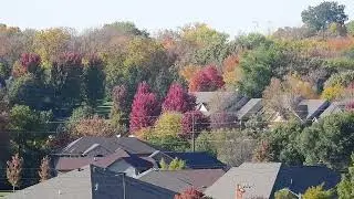 Fall Color 2022