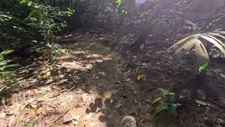 Chestnut Nature Park (Southern Loop)