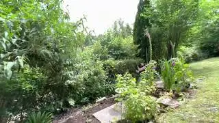 Virtual tour: Lydbrook, Forest of Dean