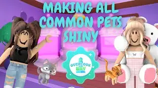 🌟 Making all common Pets in ROBLOX OVERLOOK BAY shiny 🤩 | Giving away a shiny pet | JB Fantasyland