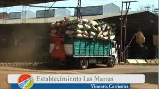 ESTABLECIMIENTO LAS MARIAS