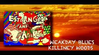 Killiney Woods - Weakday Blues (Studio Version)