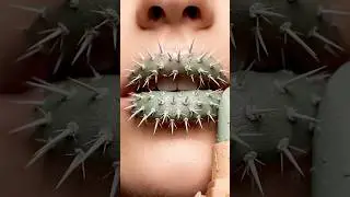 Cactus Lipstick Transformation 💄 | ASMR Lip Art #ai #asmr #aiart #asmrmakeup #satisfying #relaxing