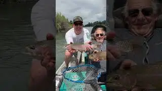 The Lower Sac is fishing GREAT and now is the time to schedule your next trip! #flyfishing #lowersac