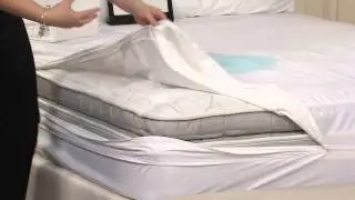 Protect-A-Bed CK AllerZip Bed Bug & Water Repel Mattress Protector with Rick Domeier