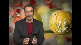 Microbial spoilage of foods