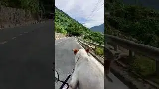 🇻🇳📍Going up Hai Van Pass - Danang, Vietnam