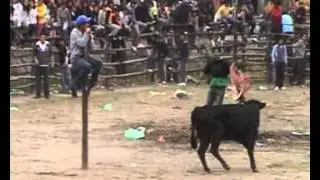 TOROS POPULARES  CALACAL&Iacute;