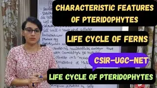 Pteridophytes || Characteristic Features of Pteridophytes || Life Cycle of Pteridophytes