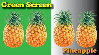 Green Screen Pineapple Part 3||Copyright or Royalty Free Videos|| For More Visit Freesource||
