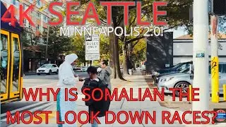 IS Seattle Become Minneapolis 2.0 The Somalian Pirate Takeover Most Hated Races?