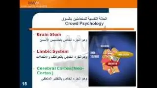 المحاضرة الاولى - دورة التحليل الفني  - المستوى الأول