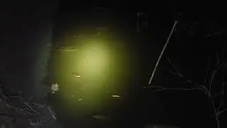 Amazing Fishing video ll Traditional Carp Fish Catching ln Mud Water Pond ll Fishing By Hand 