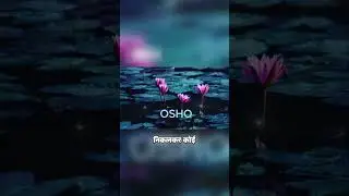 Knowledge Divided Humans | Hindu vs Muslim Truth | Osho Wisdom