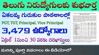 Ekalavya Teachers Recruitment 2021 TS & AP|| TGT, PGT,Principal Jobs in Ekalavya Schools|By Thajatv