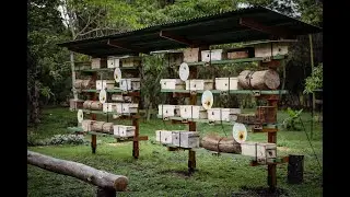 Welcome to BEEtopia - Tanzania's first bee center