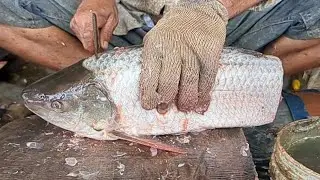 Ruhu Fish Fillet Mastery &ndash; Smart Skin Removal & Perfect Cuts