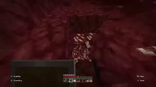 Minecraft shenanigans #4