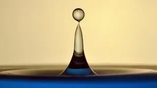 How to Photograph Water Drops