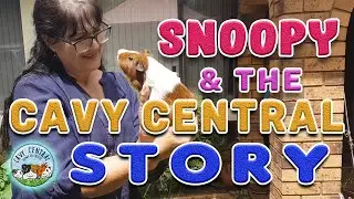 Lyn from Cavy Central Guinea Pig rescue in Sydney and Snoopy