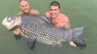 Gillhams Fishing Resort 2016 - Monster Arapaima 530lb+, Siamese Carp 170lb and Mekong